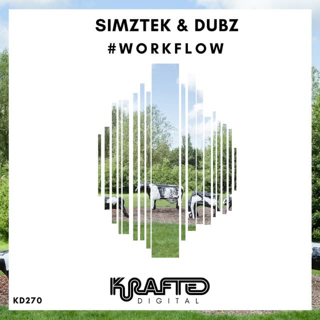 workFlow cover art