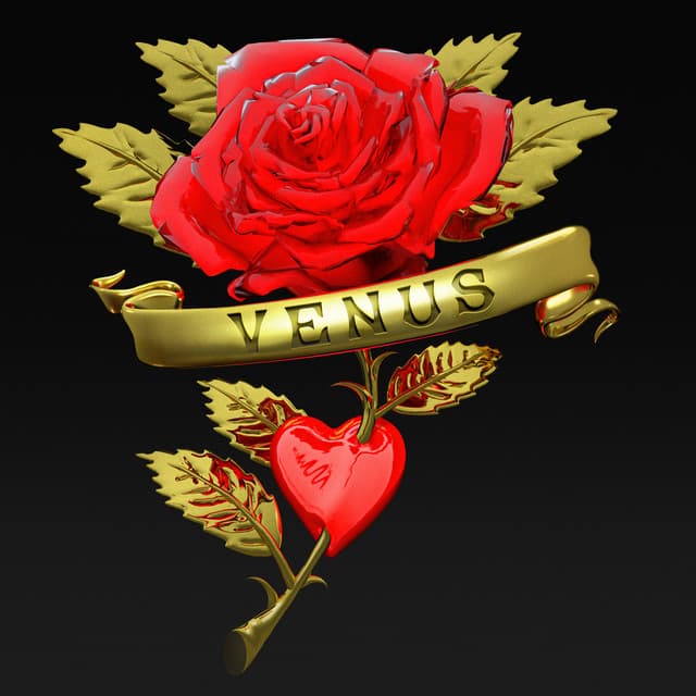 Venus - Boys Noize Rework Edit cover art