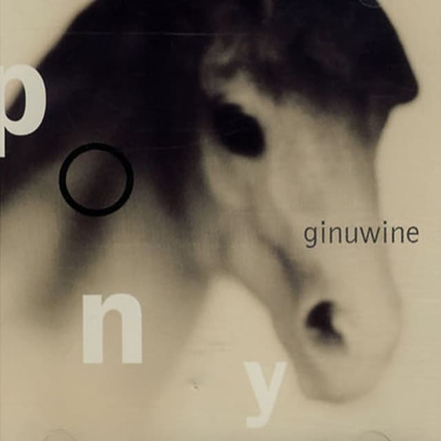 Pony cover art