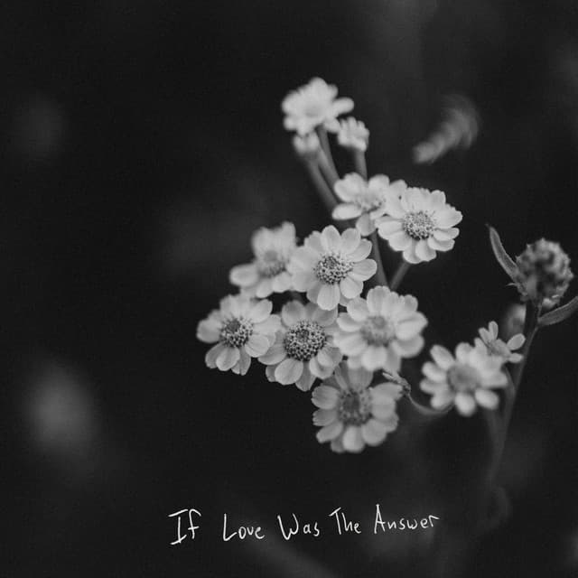 If Love Was the Answer cover art