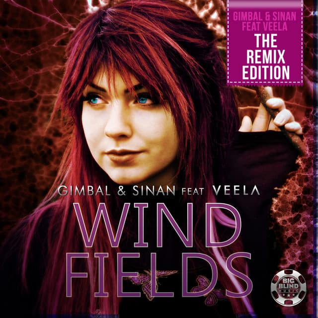 Windfields - Jan Waterman Remix Edit cover art