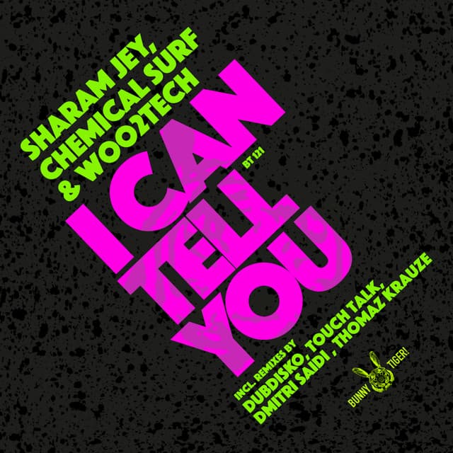I Can Tell You - Dubdisko Remix cover art