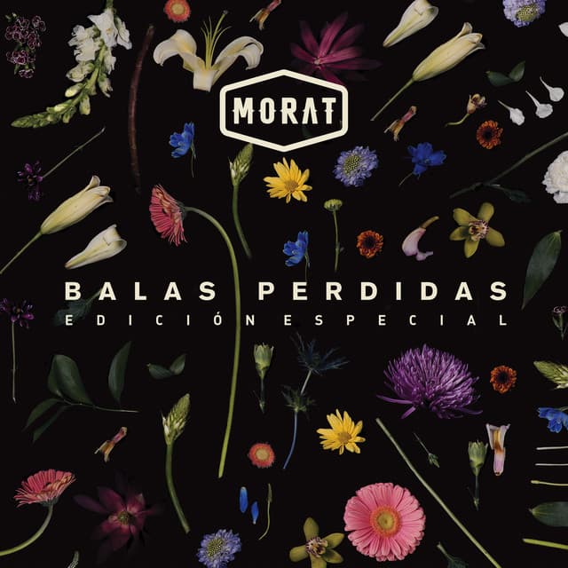 Balas Perdidas (Edición Especial) cover art