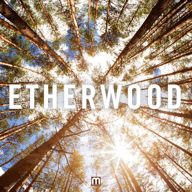 For My Sins - Etherwood Remix cover art