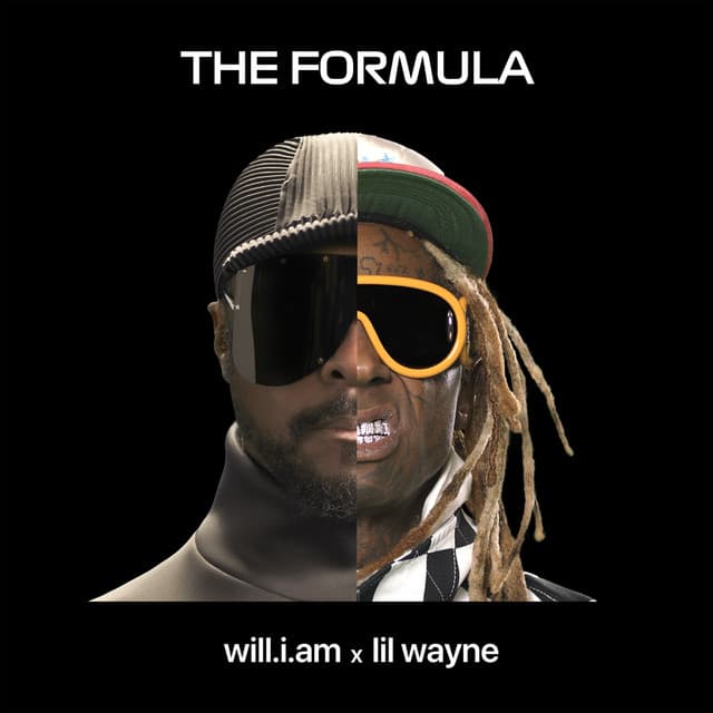 THE FORMULA cover art