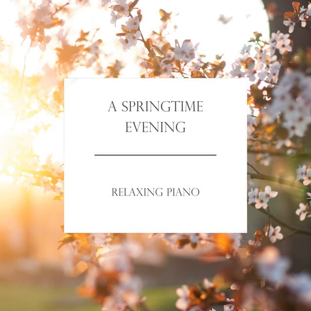 Sonata In G Minor For Cello & Piano, Op. 65: 3. Largo cover art