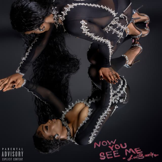 Now You See Me cover art
