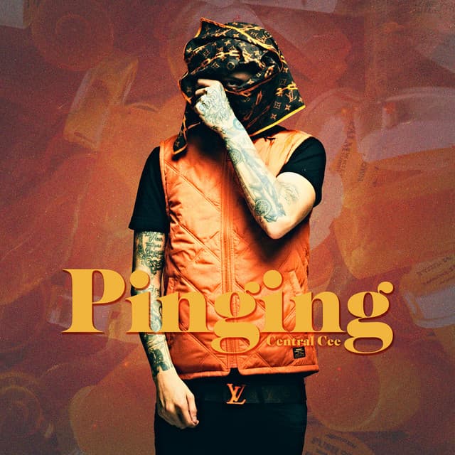 Pinging (6 Figures) cover art