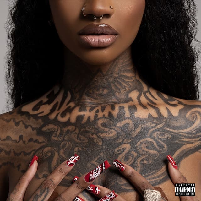 IDL cover art