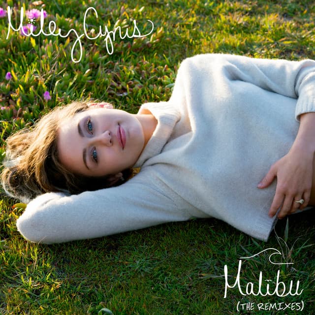 Malibu - Alan Walker Remix cover art