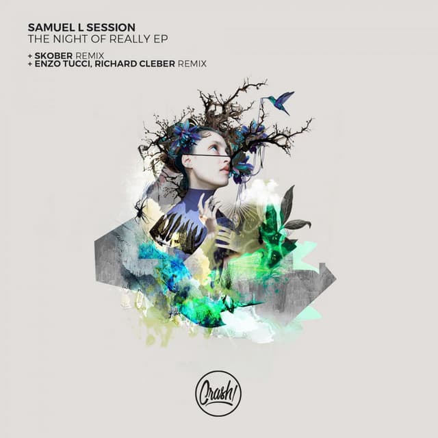 The Night Of Really - Enzo Tucci,Richard Cleber Remix cover art