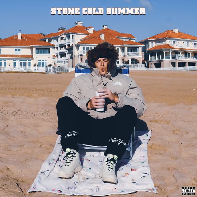 Stone Cold Summer cover art
