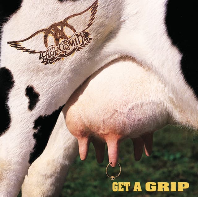 Crazy cover art