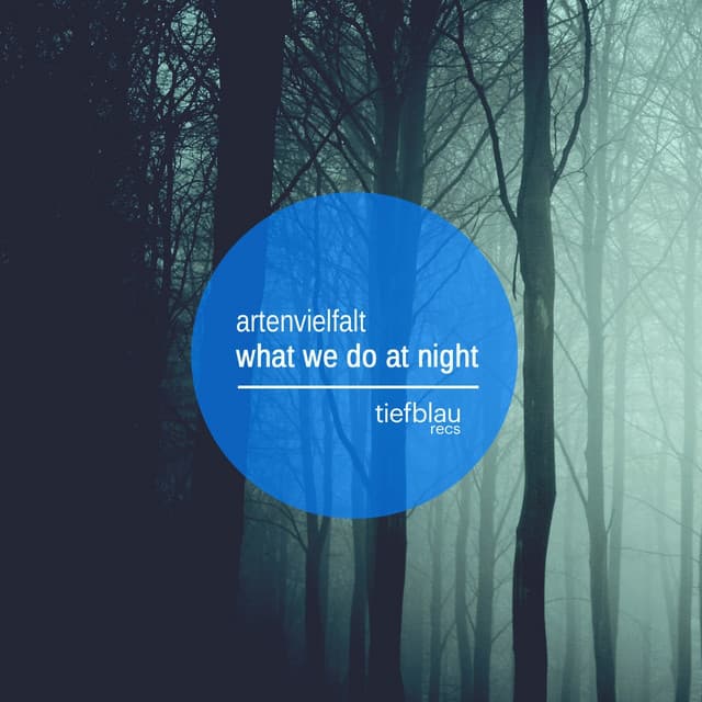 What We Do At Night cover art