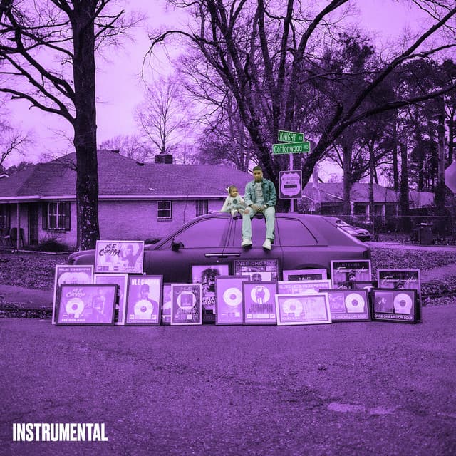 Cottonwood 2 (Instrumental) cover art