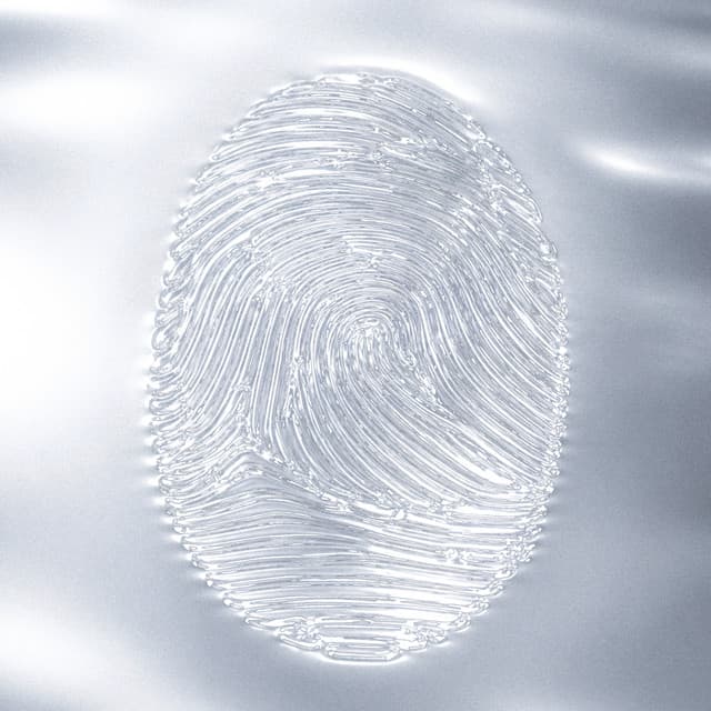 1312 cover art