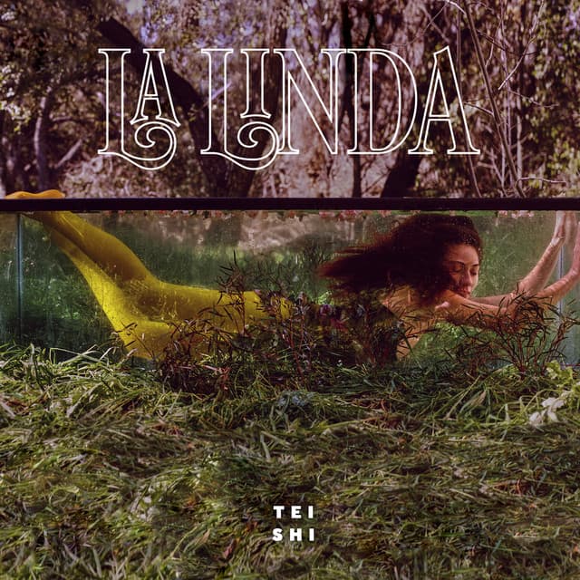 Even If It Hurts (feat. Blood Orange) cover art