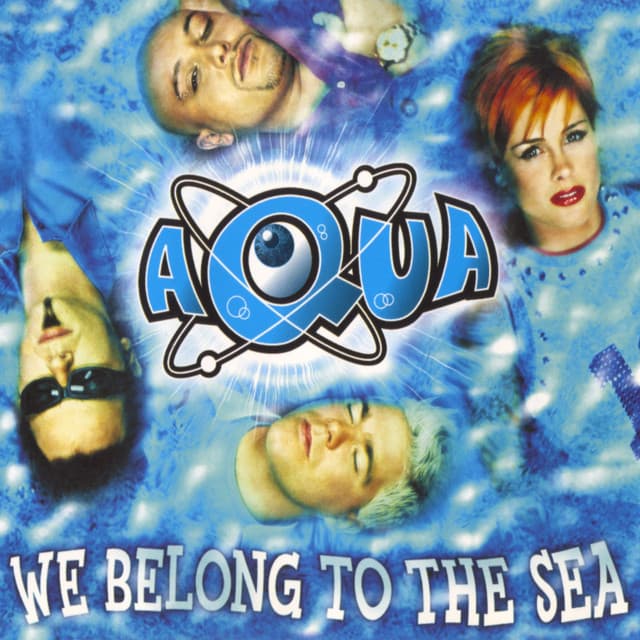 We Belong To The Sea cover art