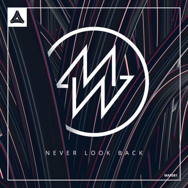 Next Level cover art
