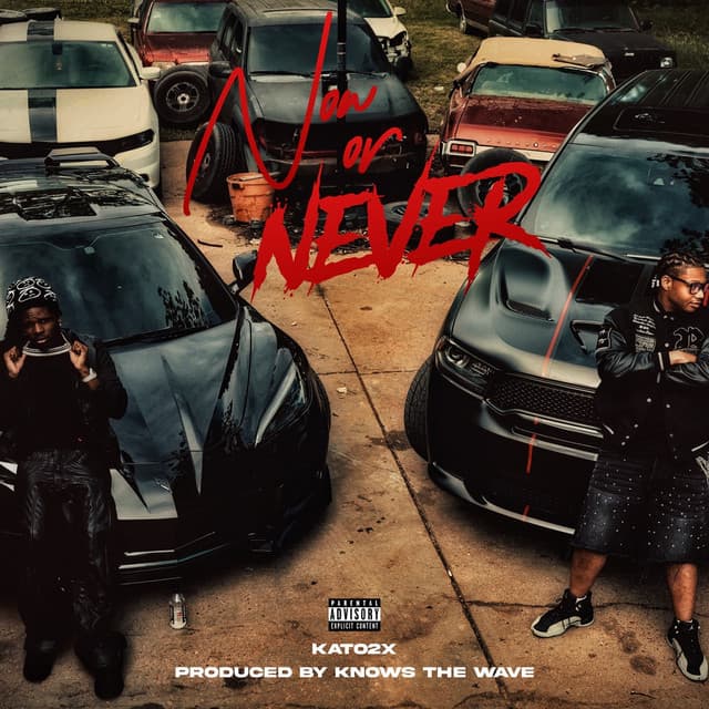 2 Playa cover art