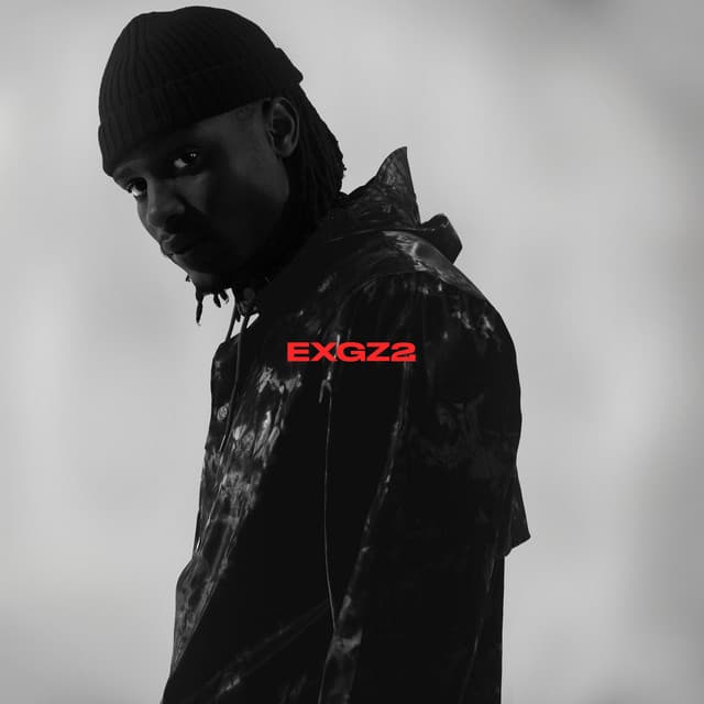 EXGZ 2 cover art