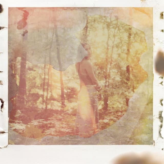 The Stranger cover art