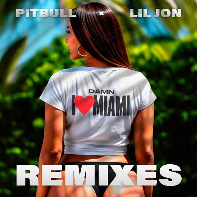 Damn I Love Miami - DJ Laz Remix cover art
