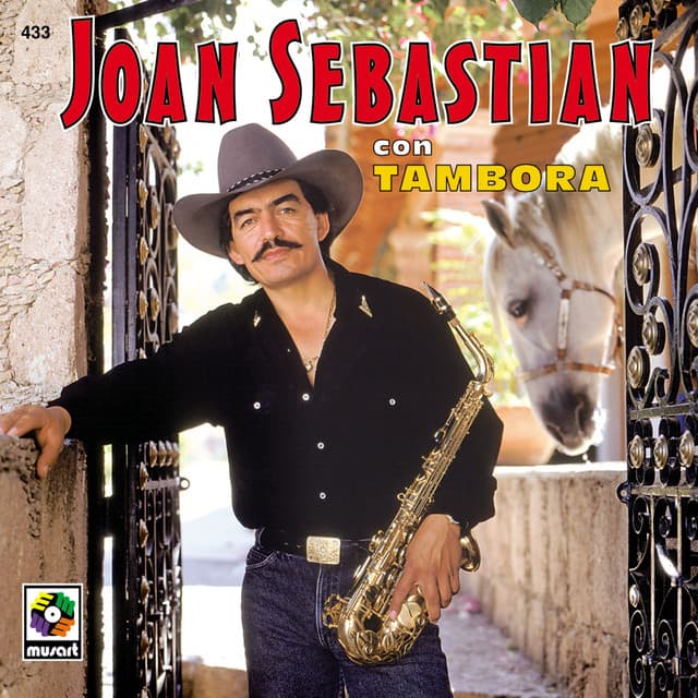 El Viejo Joven cover art