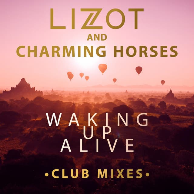 Waking up Alive - Extended Mix cover art