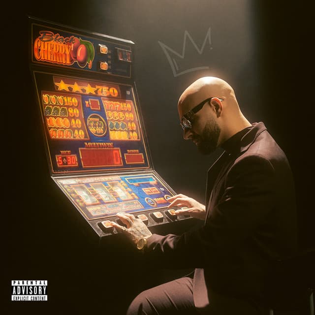 Žádnou jistotu nemáme cover art