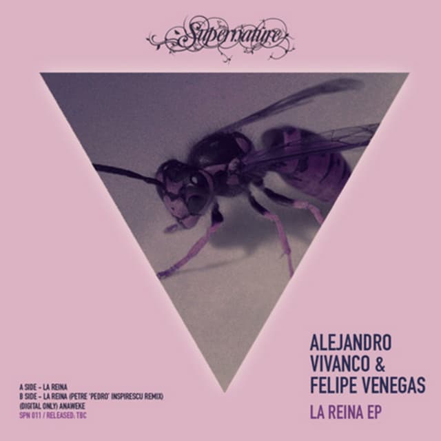 Anaweke cover art