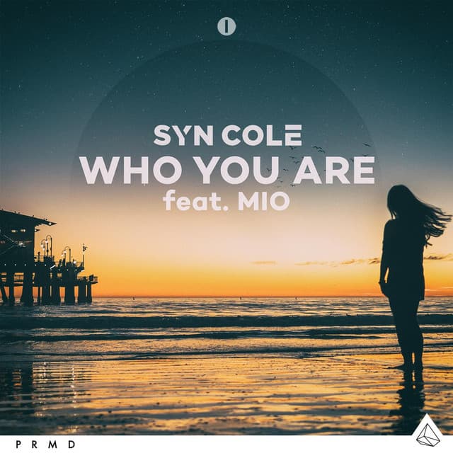 Who You Are cover art