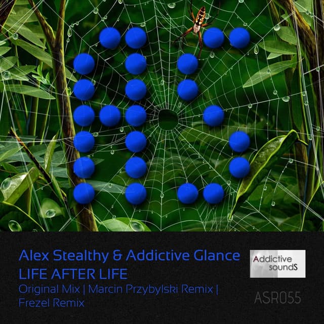 Life After Life - Marcin Przybylski Remix cover art
