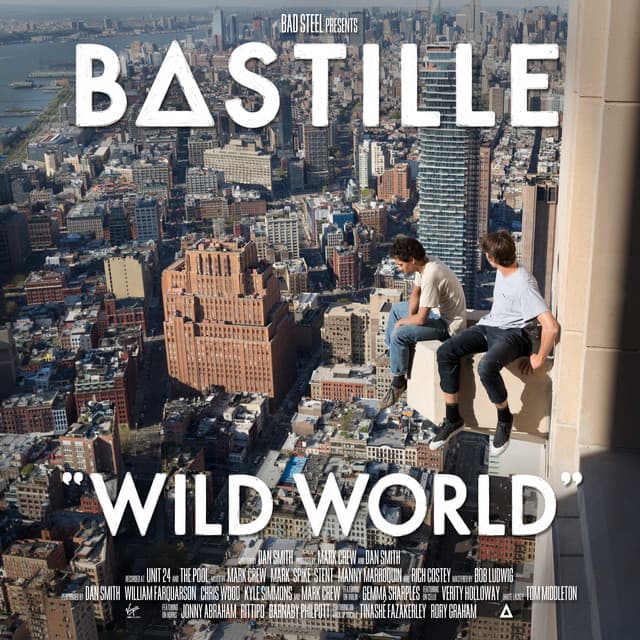 Wild World (Complete Edition) cover art
