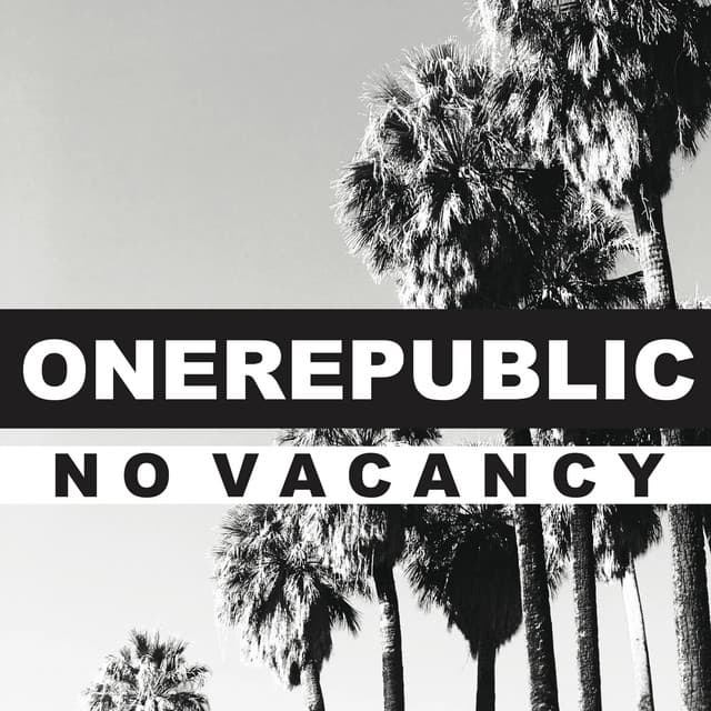No Vacancy cover art