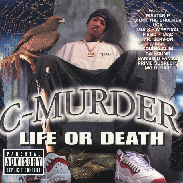 Soldiers cover art