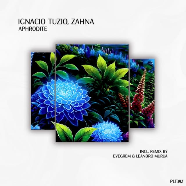 Aphrodite cover art