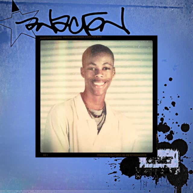 Fruitopia: Remaster cover art
