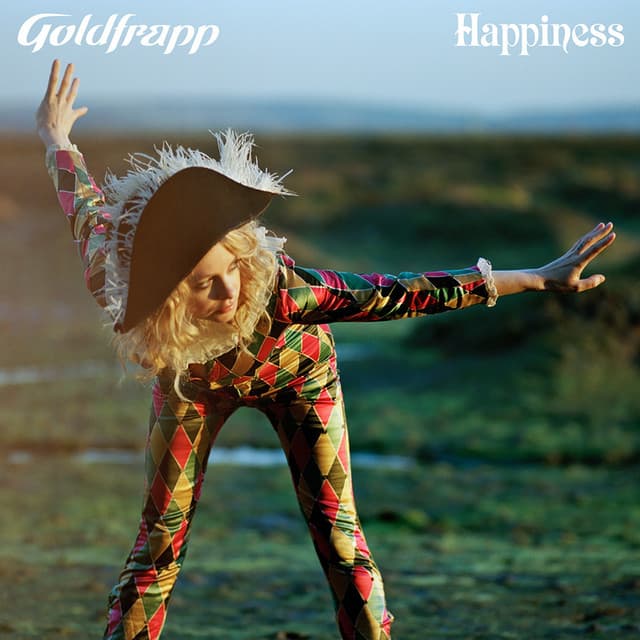Happiness (Beyond the Wizards Sleeve Re-Animation) cover art