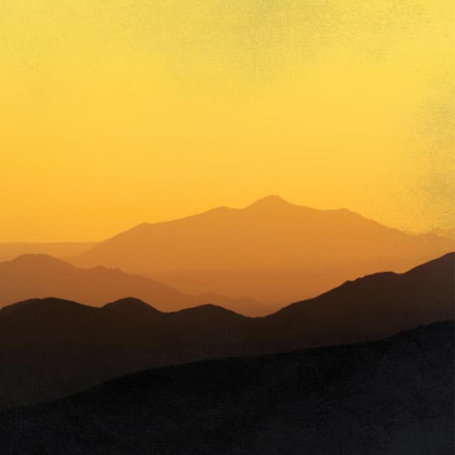Don't Kill My Vibe cover art