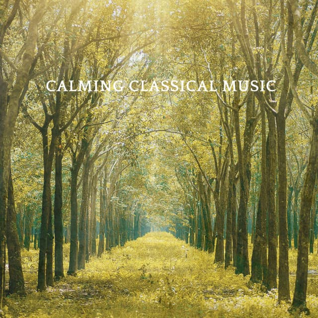 Calming Classical Music cover art