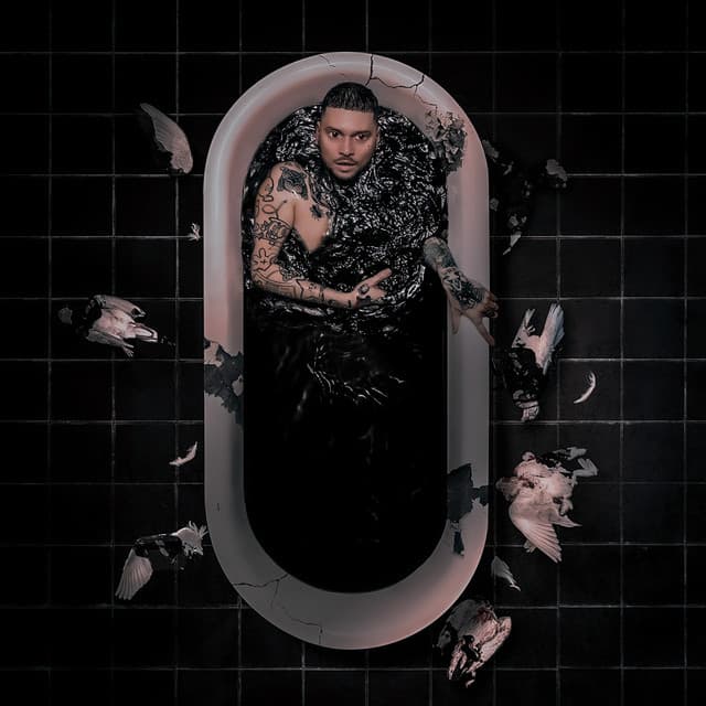 Hull I Foten cover art