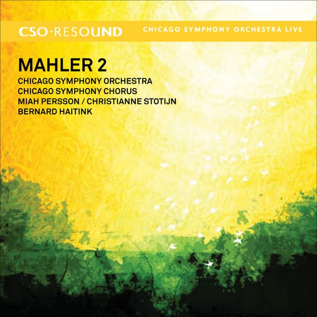 Symphony No. 2 in C Minor, "Resurrection": I. Allegro maestoso cover art