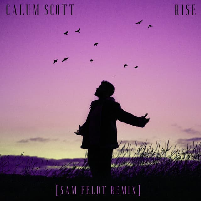 Rise (Sam Feldt Remix) cover art