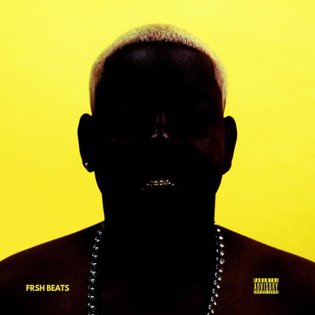 ASKIES, ASKIES cover art