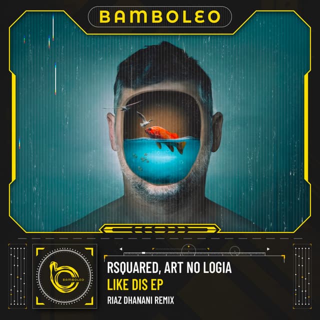 Like Dis cover art