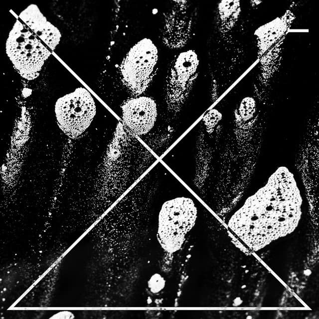 Contaminasssão - Valesuchi Remix cover art
