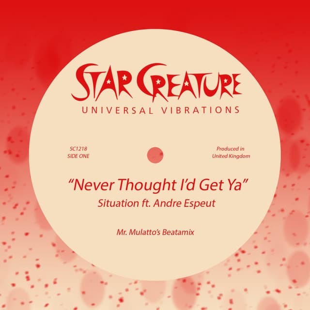 Never Thought I'd Get Ya - Dom Thompson Remix cover art