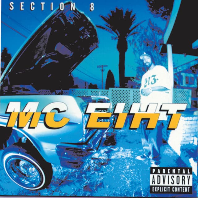 Section 8 cover art