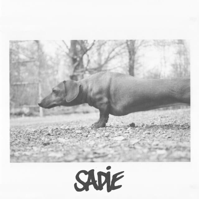 Sadie cover art